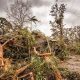Australia's Natural Disaster Survival Guide | Disaster Information Hub – Latest Natural Disaster News & Emergency Resources