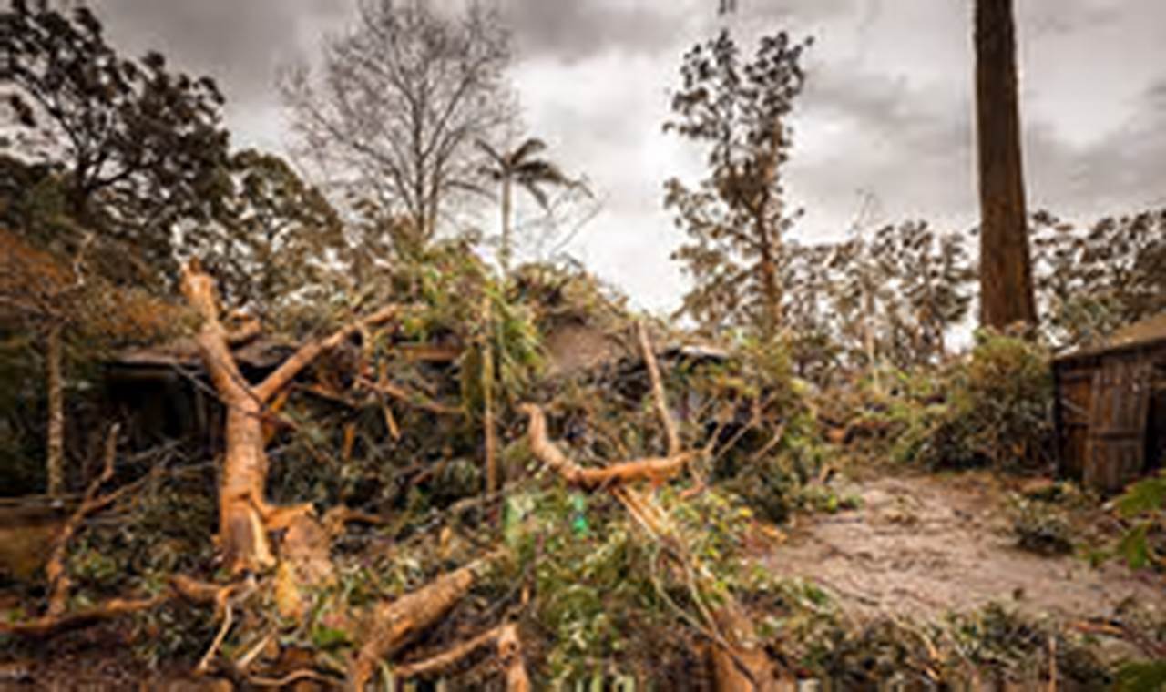 Australia's Natural Disaster Survival Guide | Disaster Information Hub – Latest Natural Disaster News & Emergency Resources