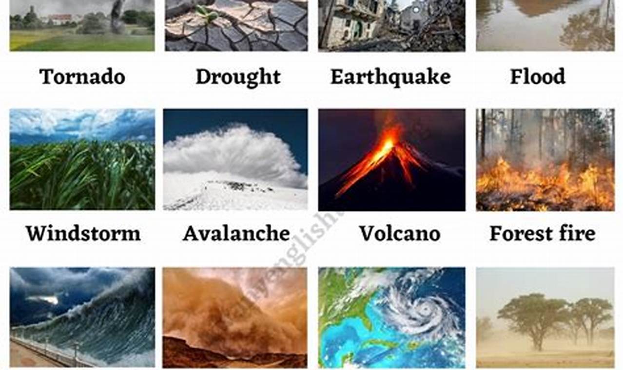 Understanding All Types of Natural Disasters & Preparedness Disaster Information Hub – Latest Natural Disaster News & Emergency Resources Understanding All Types of Natural Disasters & Preparedness | Disaster Information Hub – Latest Natural Disaster News & Emergency Resources