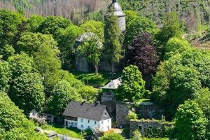 Wildenburg Disaster Damages: Impact & Recovery | Disaster Information Hub – Latest Natural Disaster News & Emergency Resources