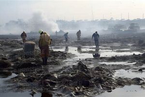 Surviving Disaster Environments: A Guide | Disaster Information Hub – Latest Natural Disaster News & Emergency Resources