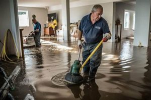 Complete Water Disaster Cleanup & Restoration | Disaster Information Hub – Latest Natural Disaster News & Emergency Resources