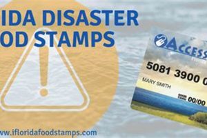 Florida Disaster Food Stamps: Guide &amp; Assistance | Disaster Information Hub – Latest Natural Disaster News & Emergency Resources