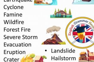 Beyond Natural Disasters: Exploring Related Terms | Disaster Information Hub – Latest Natural Disaster News & Emergency Resources