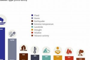 Top 6 Most Common Natural Disasters Explained Disaster Information Hub – Latest Natural Disaster News & Emergency Resources Top 6 Most Common Natural Disasters Explained | Disaster Information Hub – Latest Natural Disaster News & Emergency Resources