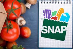 SC Disaster SNAP Benefits: Eligibility & How to Apply Disaster Information Hub – Latest Natural Disaster News & Emergency Resources SC Disaster SNAP Benefits: Eligibility & How to Apply | Disaster Information Hub – Latest Natural Disaster News & Emergency Resources