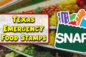 Get TX Disaster Food Stamps Now! Disaster Information Hub – Latest Natural Disaster News & Emergency Resources Get TX Disaster Food Stamps Now! | Disaster Information Hub – Latest Natural Disaster News & Emergency Resources