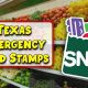 Get TX Disaster Food Stamps Now! | Disaster Information Hub – Latest Natural Disaster News & Emergency Resources