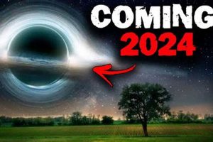 Top World Disasters 2024: A Look Back | Disaster Information Hub – Latest Natural Disaster News & Emergency Resources