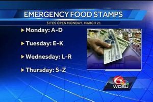 LA Disaster Food Stamps Guide: D-SNAP Benefits | Disaster Information Hub – Latest Natural Disaster News & Emergency Resources