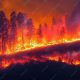 Understanding Wildfires: Natural Disasters? | Disaster Information Hub – Latest Natural Disaster News & Emergency Resources