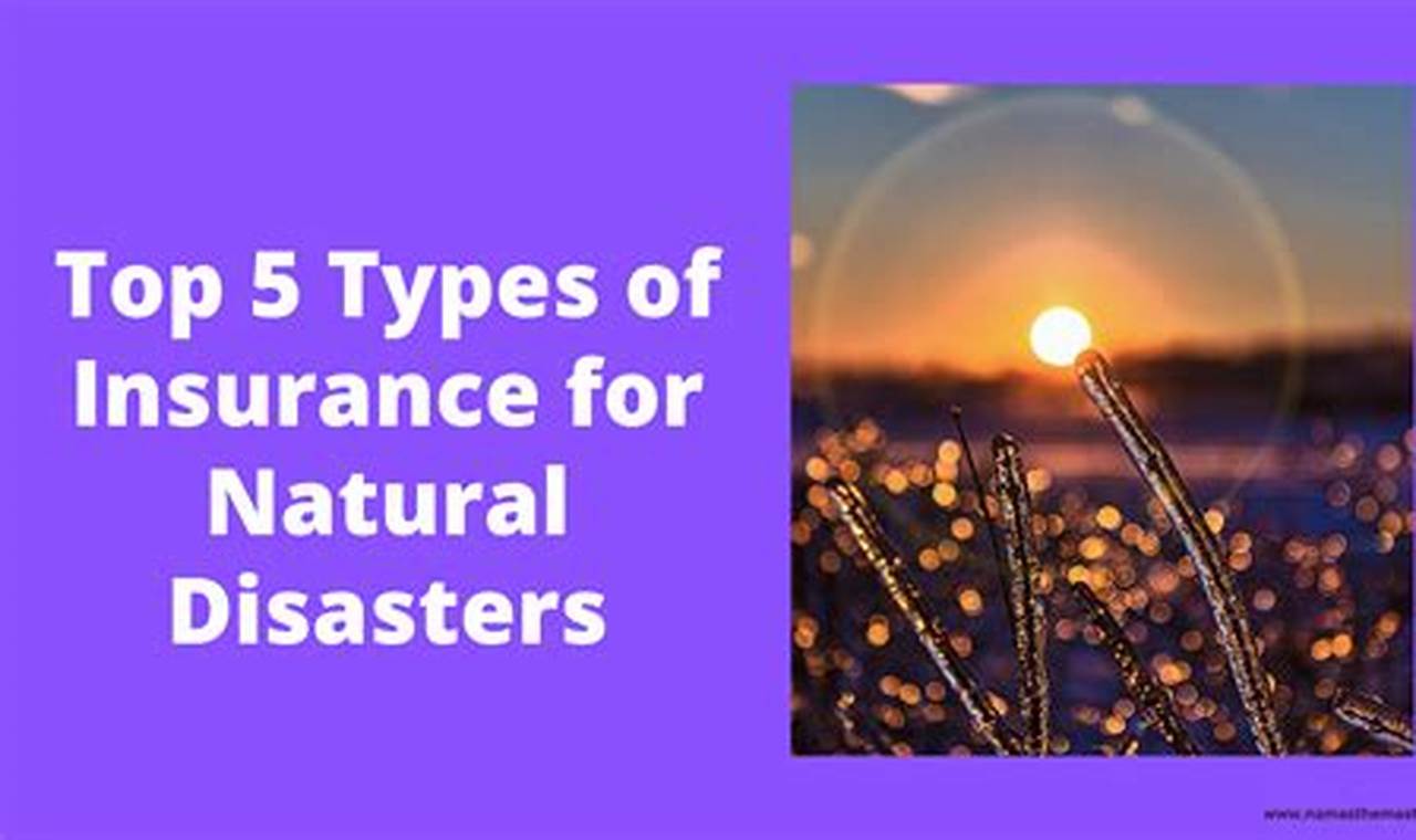 Key Insurance Terms for Natural Disaster Coverage Disaster Information Hub – Latest Natural Disaster News & Emergency Resources Key Insurance Terms for Natural Disaster Coverage | Disaster Information Hub – Latest Natural Disaster News & Emergency Resources