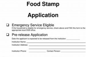 Disaster Food Stamp Application Disaster Information Hub – Latest Natural Disaster News & Emergency Resources Disaster Food Stamp Application | Disaster Information Hub – Latest Natural Disaster News & Emergency Resources