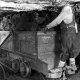 Tragic US Mining Disasters: Stories & Prevention | Disaster Information Hub – Latest Natural Disaster News & Emergency Resources