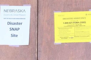 Disaster Snap Website: Your Lifeline in Crisis Disaster Information Hub – Latest Natural Disaster News & Emergency Resources Disaster Snap Website: Your Lifeline in Crisis | Disaster Information Hub – Latest Natural Disaster News & Emergency Resources