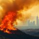 Surviving Los Angeles Disaster: A Guide | Disaster Information Hub – Latest Natural Disaster News & Emergency Resources