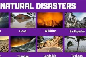 Beyond Natural Disasters: Exploring Catastrophes | Disaster Information Hub – Latest Natural Disaster News & Emergency Resources