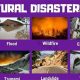 Beyond Natural Disasters: Exploring Catastrophes | Disaster Information Hub – Latest Natural Disaster News & Emergency Resources