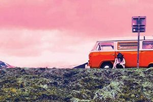 Disaster Response: Urgency & Efficiency in Crisis | Disaster Information Hub – Latest Natural Disaster News & Emergency Resources