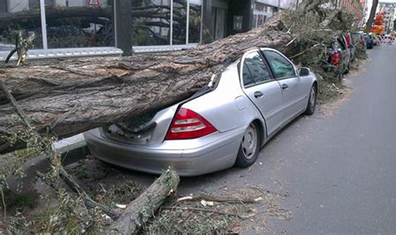 Georgia Natural Disaster Guide &amp; Preparedness | Disaster Information Hub – Latest Natural Disaster News & Emergency Resources