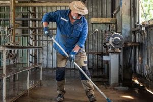 Essential Guide to Disaster Work & Recovery | Disaster Information Hub – Latest Natural Disaster News & Emergency Resources