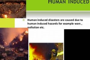 Understanding Human-Induced Disasters & Prevention | Disaster Information Hub – Latest Natural Disaster News & Emergency Resources