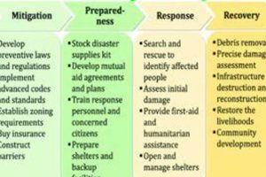 Essential Guide: Nursing Disaster Preparedness Skills | Disaster Information Hub – Latest Natural Disaster News & Emergency Resources