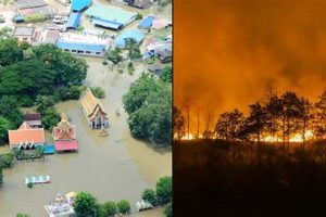 Disaster Forbearance: Relief & Recovery | Disaster Information Hub – Latest Natural Disaster News & Emergency Resources