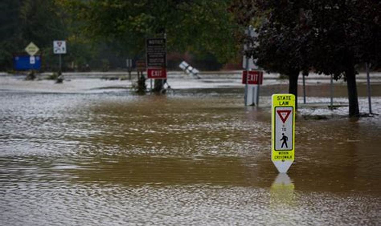 NC's Recent Natural Disasters: A 2023 Overview Disaster Information Hub – Latest Natural Disaster News & Emergency Resources NC's Recent Natural Disasters: A 2023 Overview | Disaster Information Hub – Latest Natural Disaster News & Emergency Resources