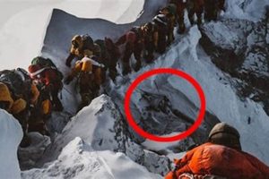 Deadliest Mt Everest Disasters: Untold Stories | Disaster Information Hub – Latest Natural Disaster News & Emergency Resources