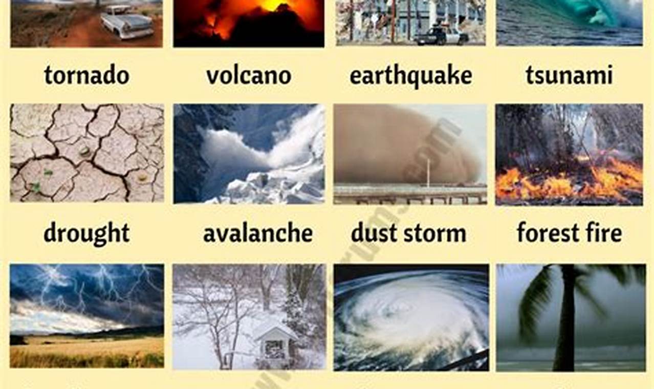 Different Kinds Of Natural Disasters Disaster Information Hub – Latest Natural Disaster News & Emergency Resources Different Kinds Of Natural Disasters | Disaster Information Hub – Latest Natural Disaster News & Emergency Resources