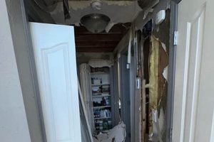 Lincoln City's Disaster Preparedness Guide Disaster Information Hub – Latest Natural Disaster News & Emergency Resources Lincoln City's Disaster Preparedness Guide | Disaster Information Hub – Latest Natural Disaster News & Emergency Resources