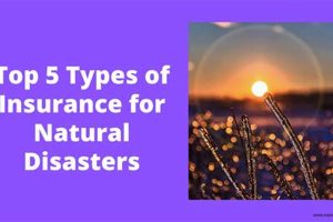 Does Natural Disaster Insurance Exist & Protect You? Disaster Information Hub – Latest Natural Disaster News & Emergency Resources Does Natural Disaster Insurance Exist & Protect You? | Disaster Information Hub – Latest Natural Disaster News & Emergency Resources