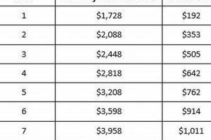 Disaster SNAP Benefits: Income Limits & Eligibility | Disaster Information Hub – Latest Natural Disaster News & Emergency Resources