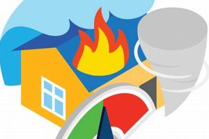 Understanding Disaster Iconography: A Comprehensive Guide | Disaster Information Hub – Latest Natural Disaster News & Emergency Resources