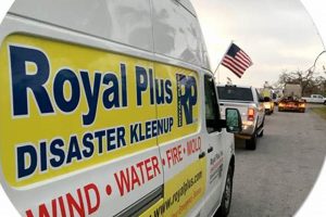 Top Disaster Cleanup Company Services & Solutions | Disaster Information Hub – Latest Natural Disaster News & Emergency Resources