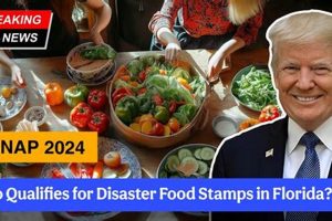 Prepping for a 2024 Disaster Snap? Disaster Information Hub – Latest Natural Disaster News & Emergency Resources Prepping for a 2024 Disaster Snap? | Disaster Information Hub – Latest Natural Disaster News & Emergency Resources