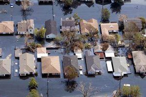 Remembering New Orleans: Disaster, Resilience, & Recovery | Disaster Information Hub – Latest Natural Disaster News & Emergency Resources