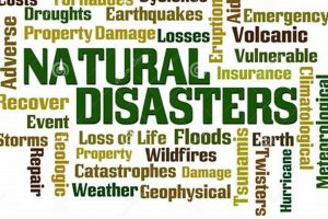 Disasters: Other Words for Calamity & Catastrophe | Disaster Information Hub – Latest Natural Disaster News & Emergency Resources