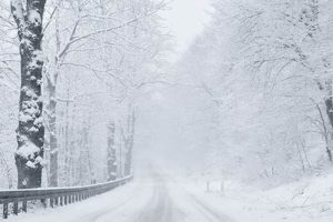 Blizzards: Dangers of Nature's Fury | Disaster Information Hub – Latest Natural Disaster News & Emergency Resources