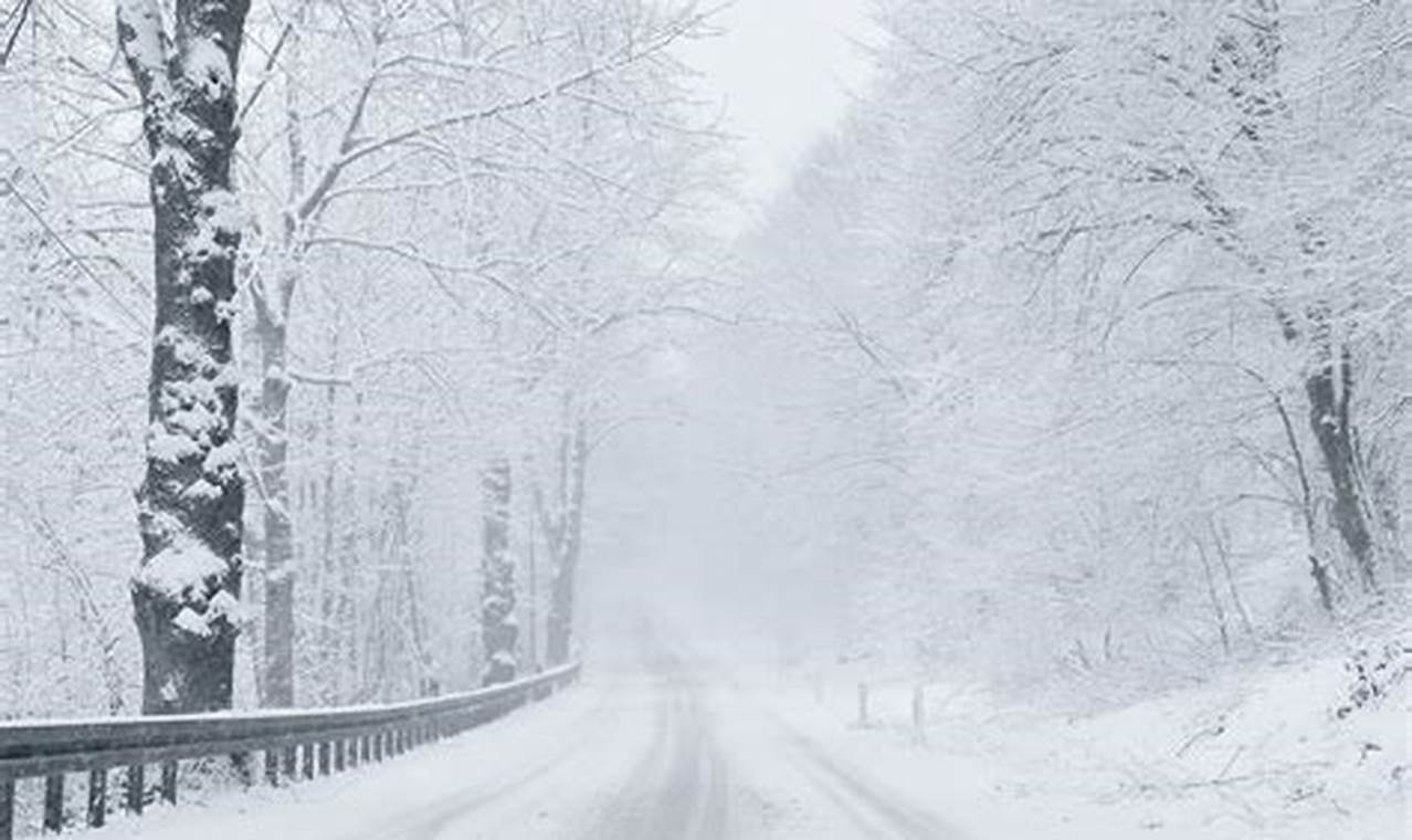 Blizzards: Dangers of Nature's Fury | Disaster Information Hub – Latest Natural Disaster News & Emergency Resources