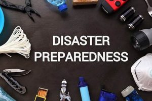 Leading Center for Disaster Preparedness Resources Disaster Information Hub – Latest Natural Disaster News & Emergency Resources Leading Center for Disaster Preparedness Resources | Disaster Information Hub – Latest Natural Disaster News & Emergency Resources