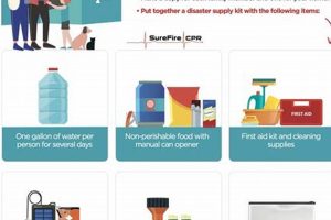 Ultimate Flood Disaster Preparedness Guide Disaster Information Hub – Latest Natural Disaster News & Emergency Resources Ultimate Flood Disaster Preparedness Guide | Disaster Information Hub – Latest Natural Disaster News & Emergency Resources