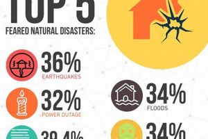 Natural Disasters Survival | Disaster Information Hub – Latest Natural Disaster News & Emergency Resources