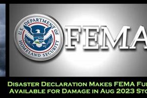 2023 Michigan Disaster Declarations &amp; Recovery Guide | Disaster Information Hub – Latest Natural Disaster News & Emergency Resources