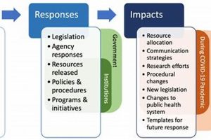 Was COVID Disaster Distribution Effective? Disaster Information Hub – Latest Natural Disaster News & Emergency Resources Was COVID Disaster Distribution Effective? | Disaster Information Hub – Latest Natural Disaster News & Emergency Resources