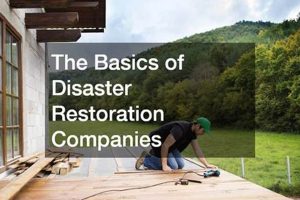 Top National Disaster Restoration Companies & Services Disaster Information Hub – Latest Natural Disaster News & Emergency Resources Top National Disaster Restoration Companies & Services | Disaster Information Hub – Latest Natural Disaster News & Emergency Resources