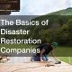 Top National Disaster Restoration Companies & Services | Disaster Information Hub – Latest Natural Disaster News & Emergency Resources