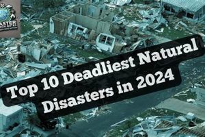 2024's Major Natural Disasters: A Review Disaster Information Hub – Latest Natural Disaster News & Emergency Resources 2024's Major Natural Disasters: A Review | Disaster Information Hub – Latest Natural Disaster News & Emergency Resources