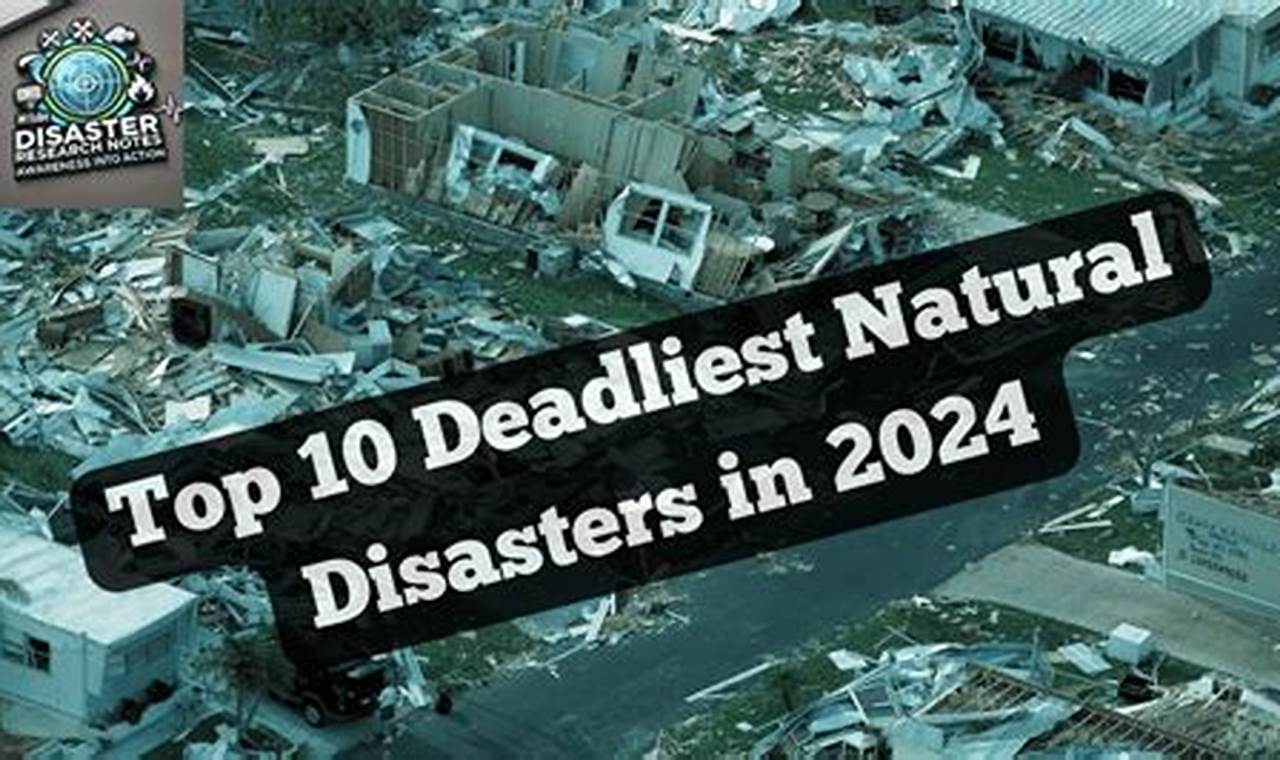 2024's Major Natural Disasters: A Review Disaster Information Hub – Latest Natural Disaster News & Emergency Resources 2024's Major Natural Disasters: A Review | Disaster Information Hub – Latest Natural Disaster News & Emergency Resources